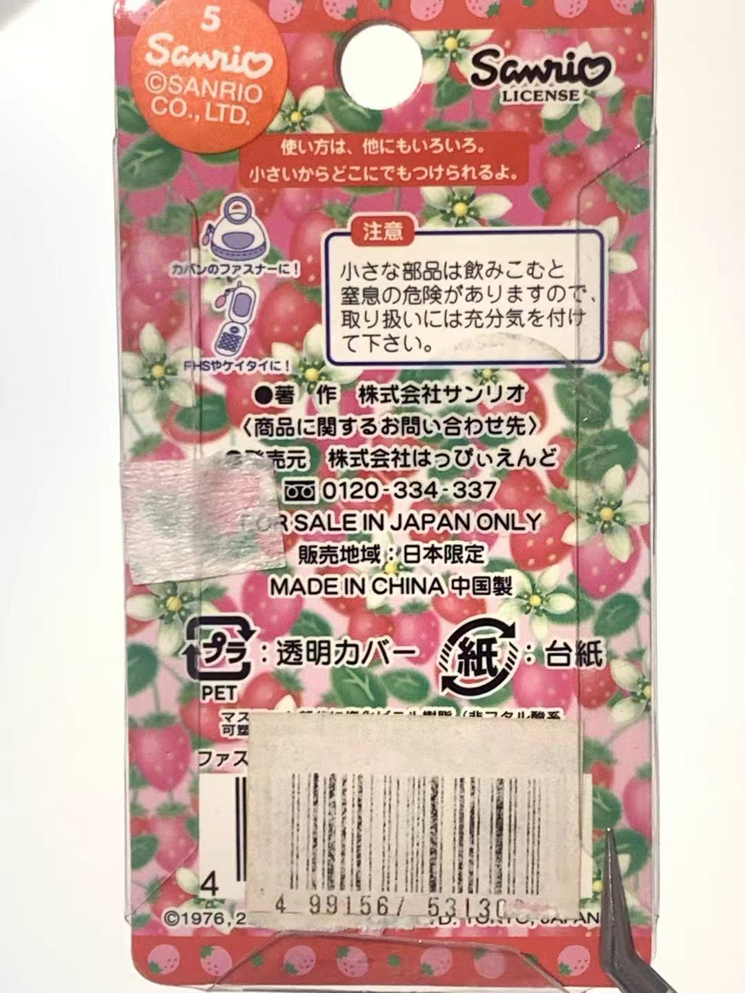 Hello Kitty Gotochi Keychain – 2004 Tochigi (栃木県) Strawberry Kingdom – Japan Exclusive Vintage